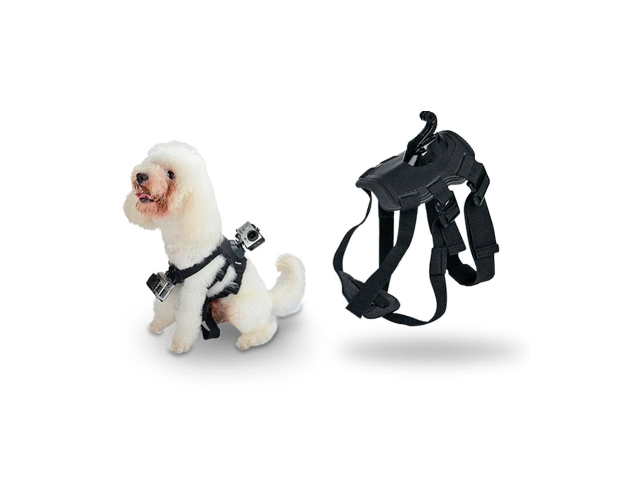 Soporte para montar camara deportiva en perro