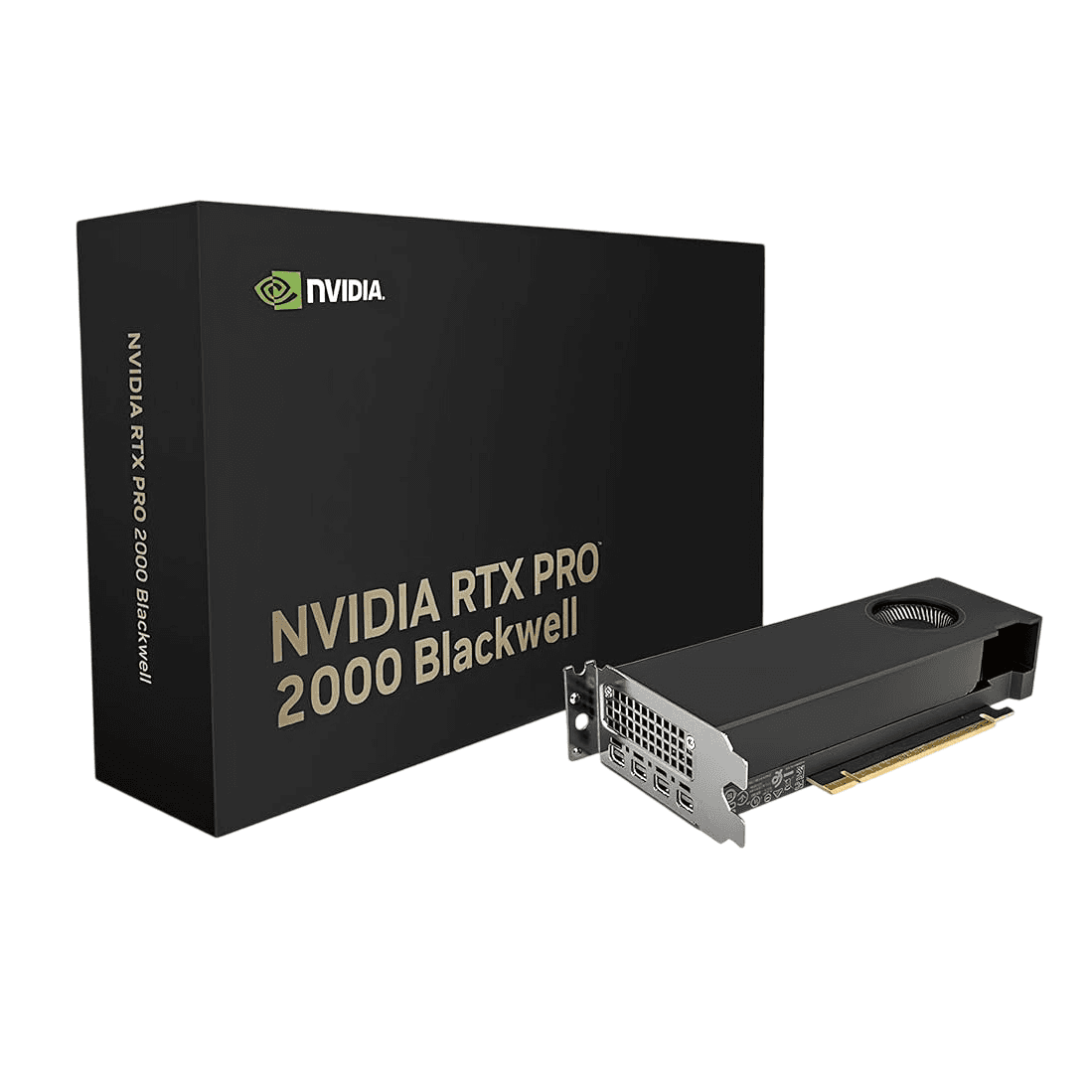 VGA PNY QUADRO RTX PRO 2000 Blackwell 16Gb GDDR7 4x Mini Display Port (6826) · PNY