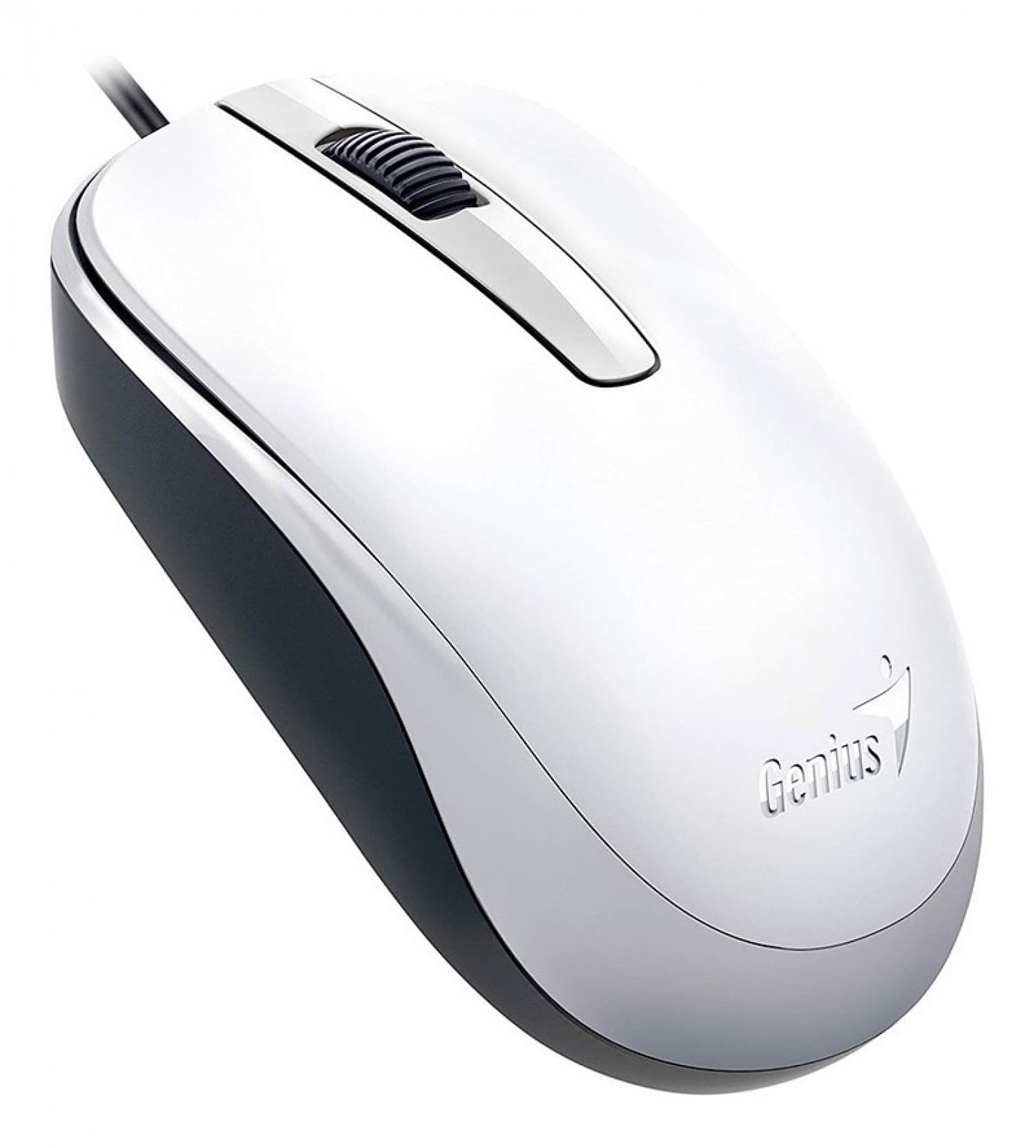 MOUSE GENIUS DX-120 G5 WHITE USB - Imagen 1