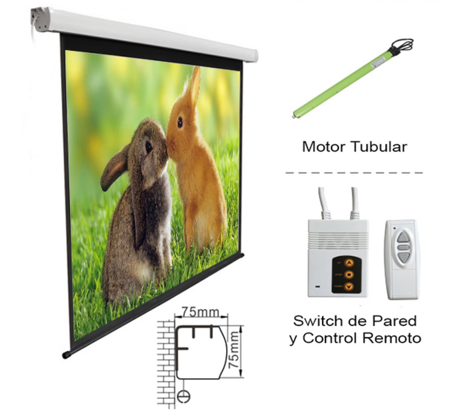 PANTALLA INTELAID PROYECTOR ELECTRICA 2.40 X 1.80 IT-PSE120 - Imagen 1